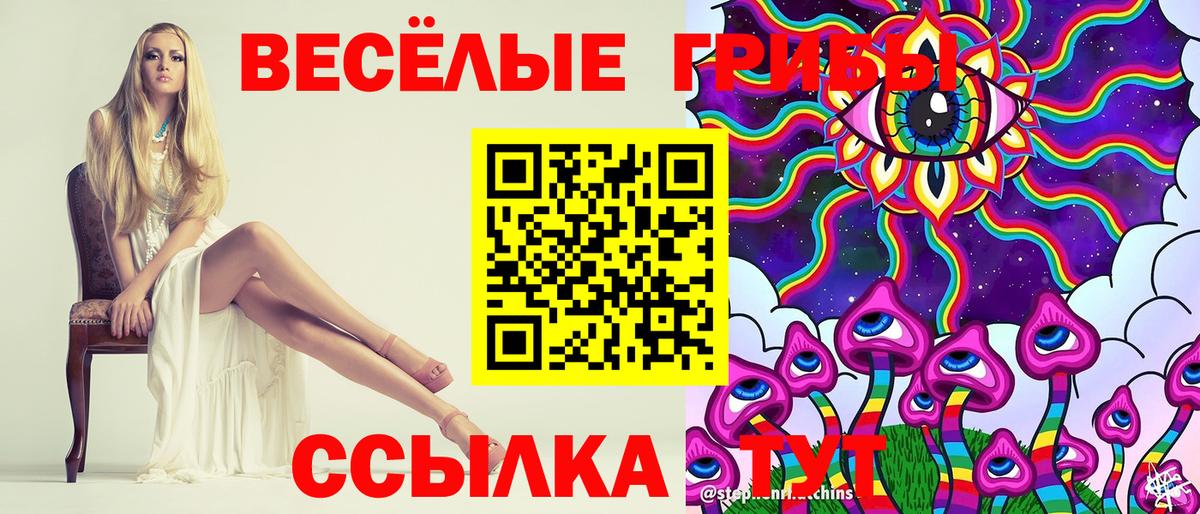Киселёвск  Галлюциногенные грибы Psilocybe  Вход с VPN 